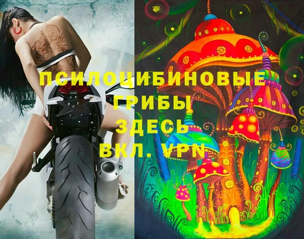 ГАЛЛЮЦИНОГЕННЫЕ ГРИБЫ Белоозёрский