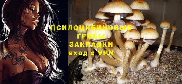 ALPHA PVP Беломорск