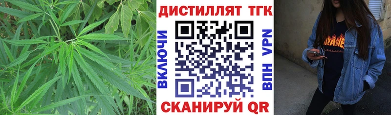 Дистиллят ТГК концентрат Северская