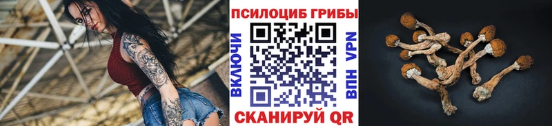 Галлюциногенные грибы мицелий  Северская 